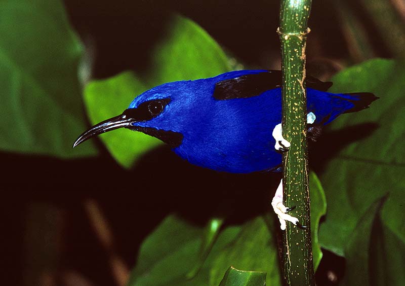 1430