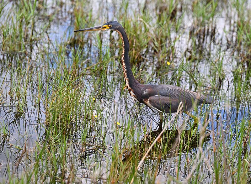 DSC_8938