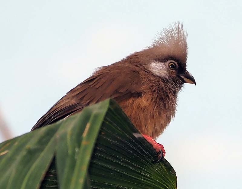P6200356