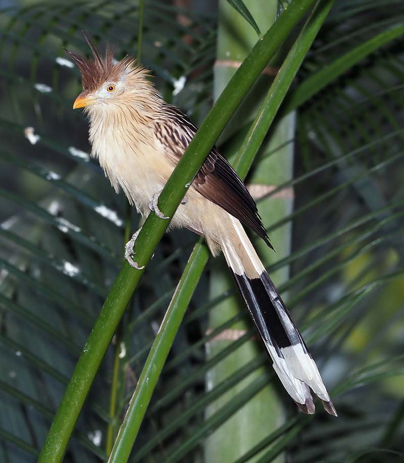 P6200394