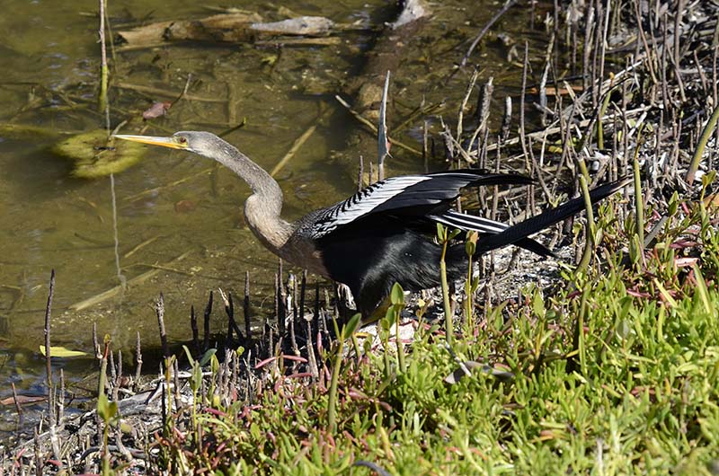 _DSC3259