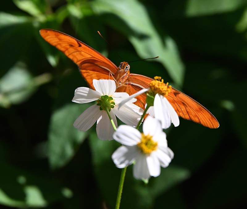 DSC_7792