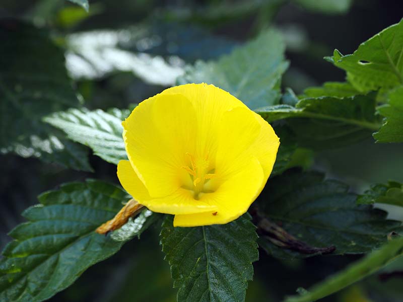 P3040005