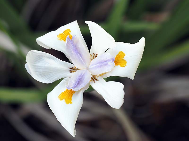 P3040049