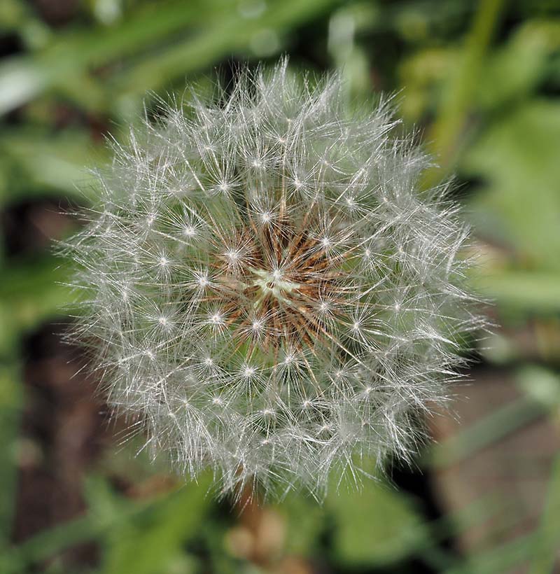 P6160036
