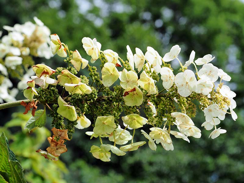 P7020801