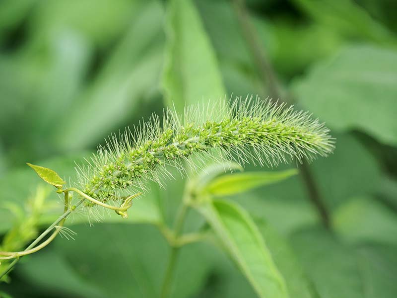 P7020818