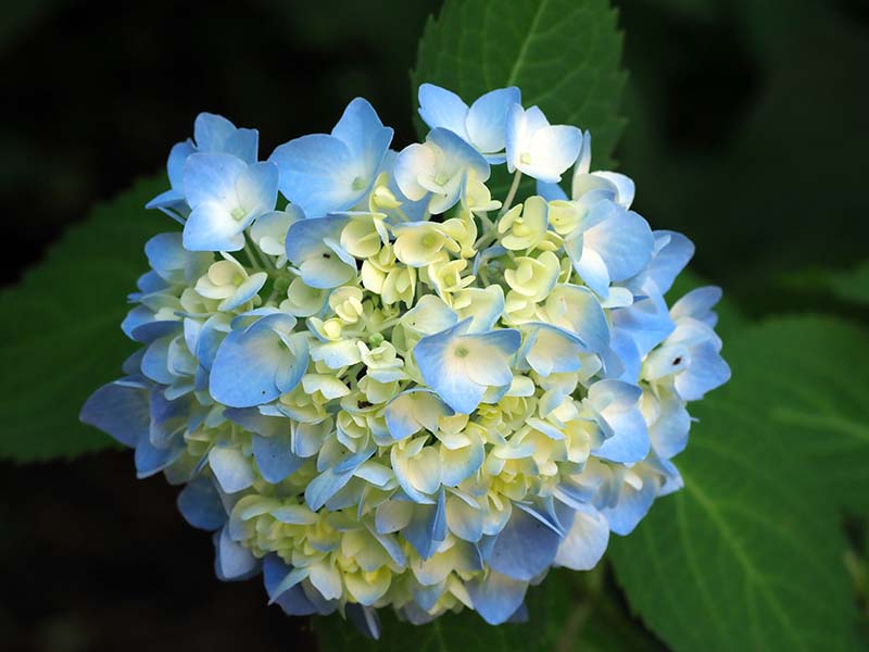 P7032048