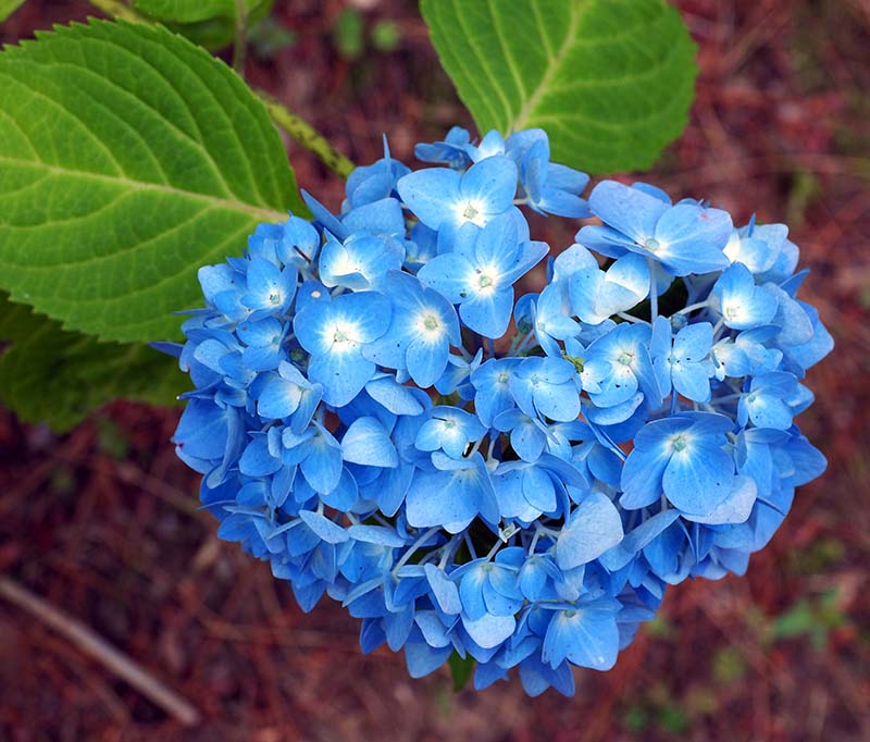 P7032065