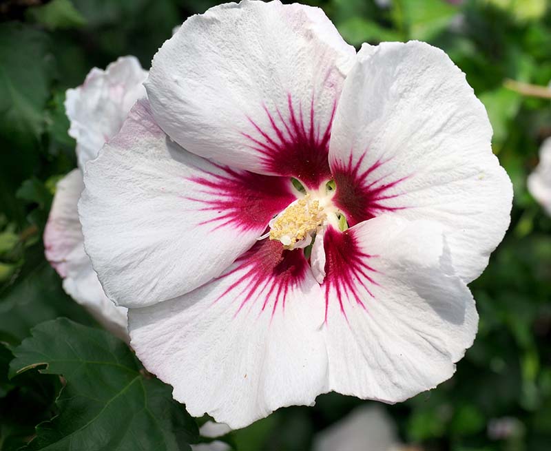 P7071487