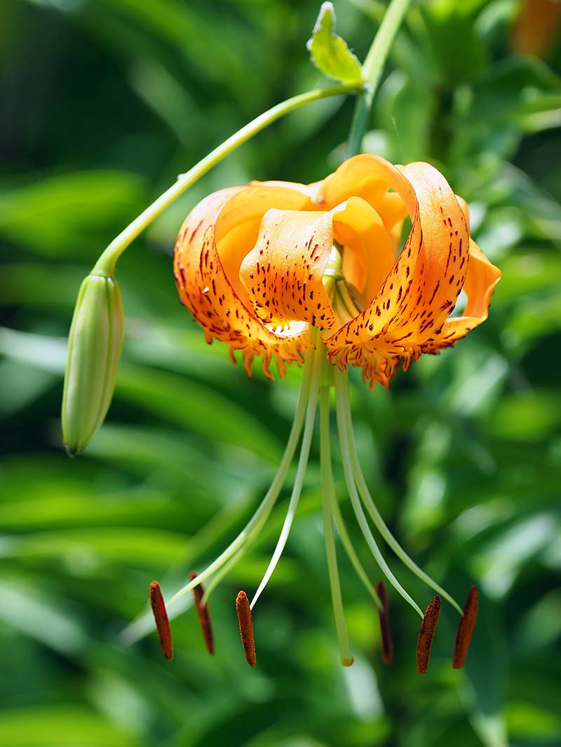 P7072088