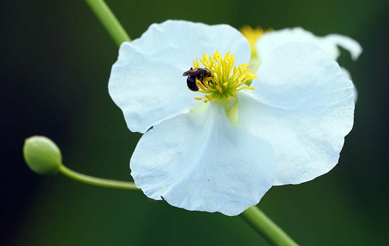 P7080055