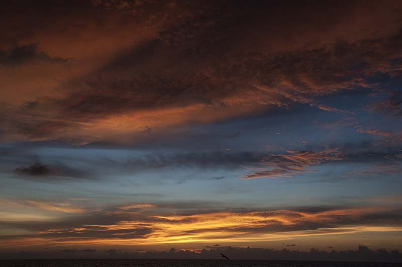 _DSC1270