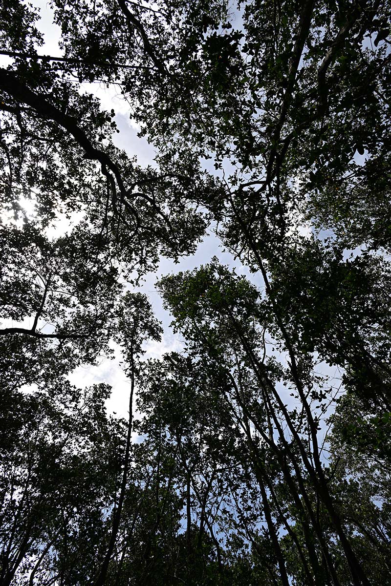 DSC_9555
